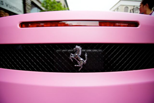 Ferrari rose