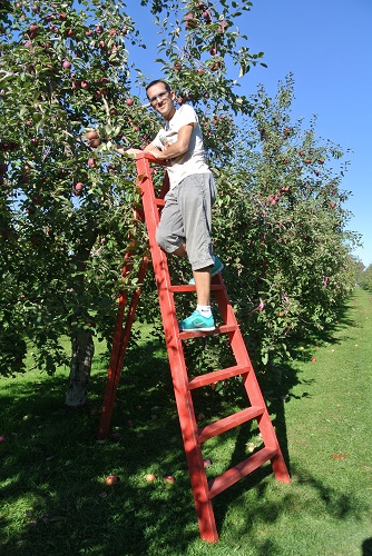 Alex dans les pommes