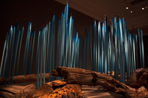 Dale Chihuly - Roseaux turquoise